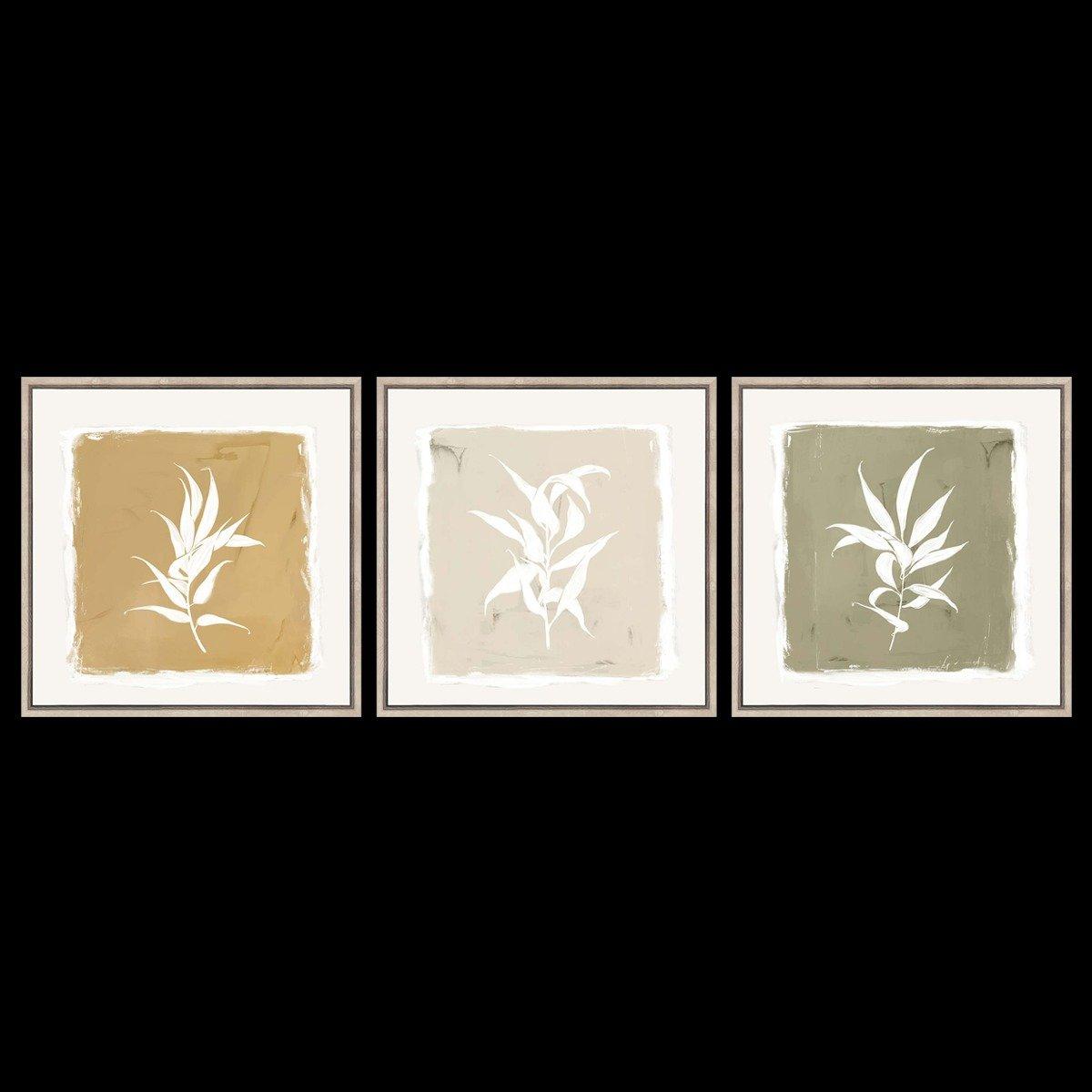 

Dani s/3 framed canvas multicolor 60x60 cm