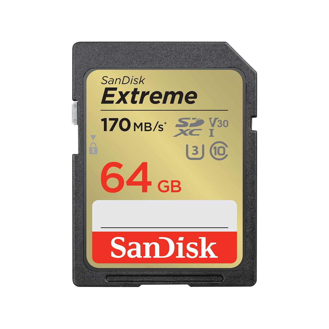 بطاقة ذاكرة سانديسك SDSDXV2-GNCIN (64 جيجابايت)