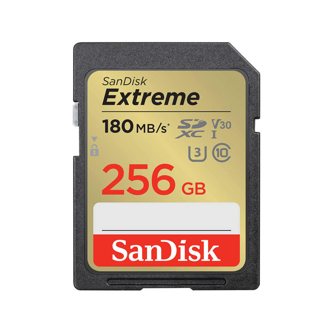 SanDisk SDSDXVV-GNCIN (256GB) Memory Card