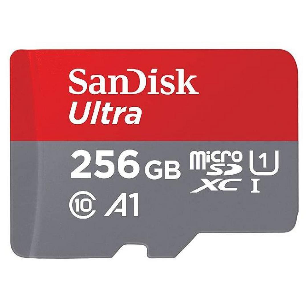 SanDisk Ultra UHS MicroSD Card for Action Cameras and Smartphones, 256GB, SDSQUAC-256G-GN6MN