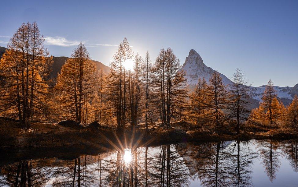 Lärchen & Licht: Matterhorn