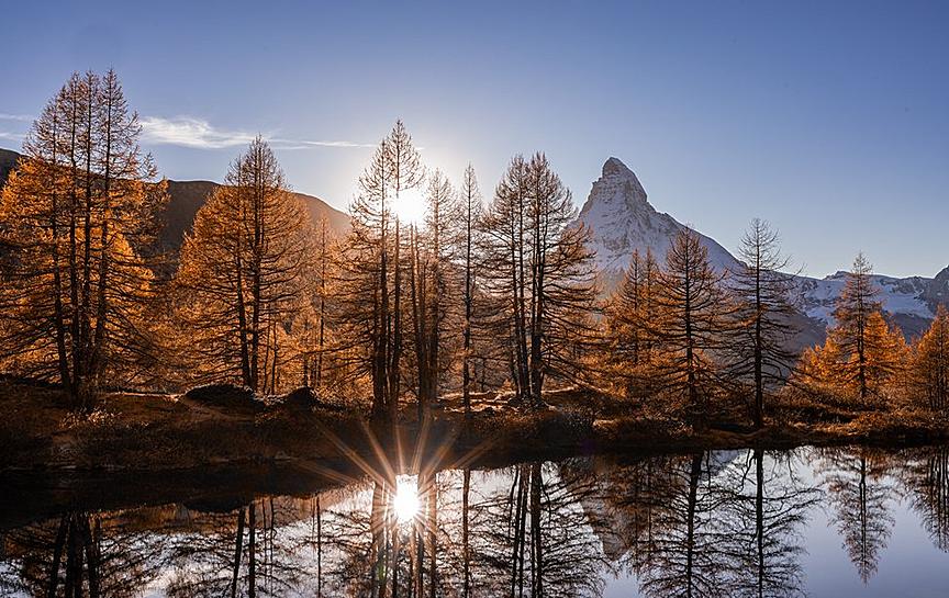 Lärchen & Licht: Matterhorn