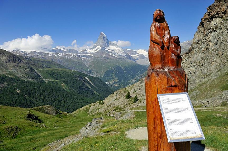 Chemin des marmottes (n° 8)