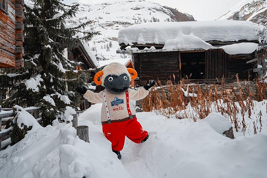 Wolli im Dorf