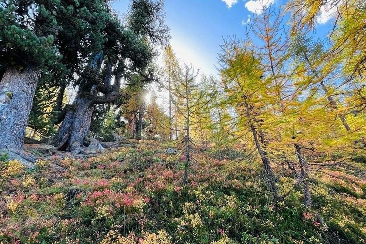 Wandern & Yoga