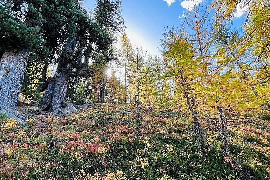Herbstwanderung in Zermatt