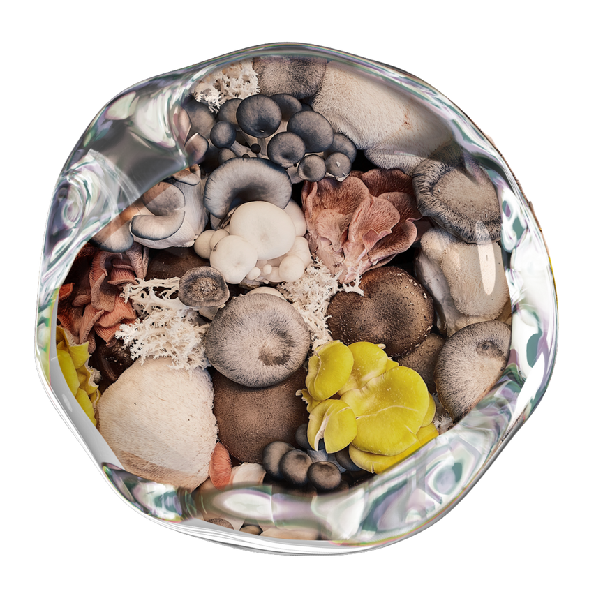 Plant Medicine & Chocolate