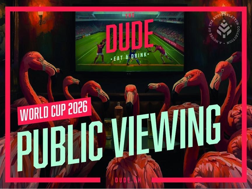 Fussball WM Public Viewing