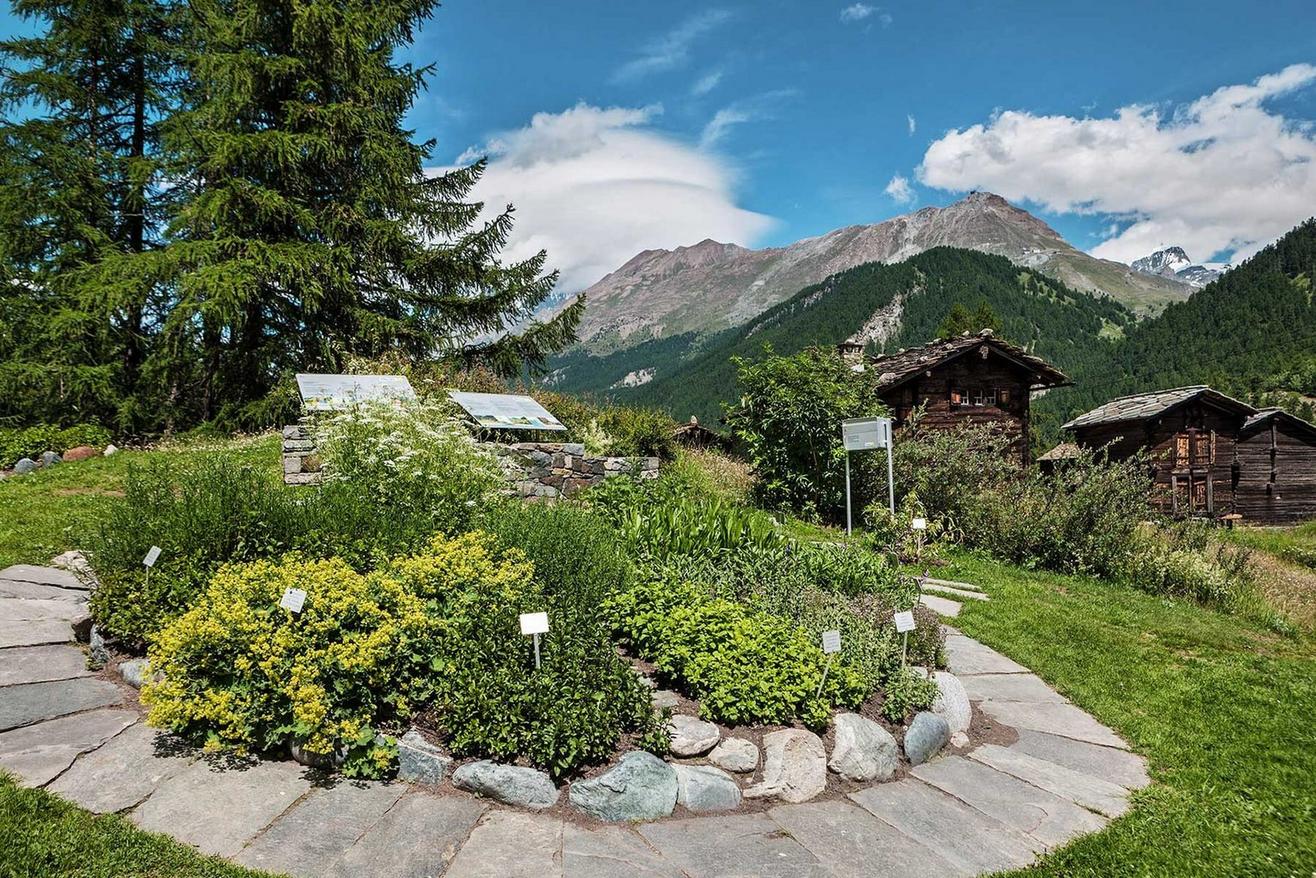 Ricola herb garden