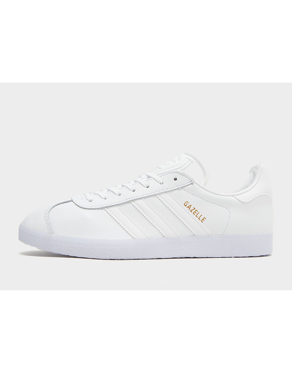 Gazelle Herr