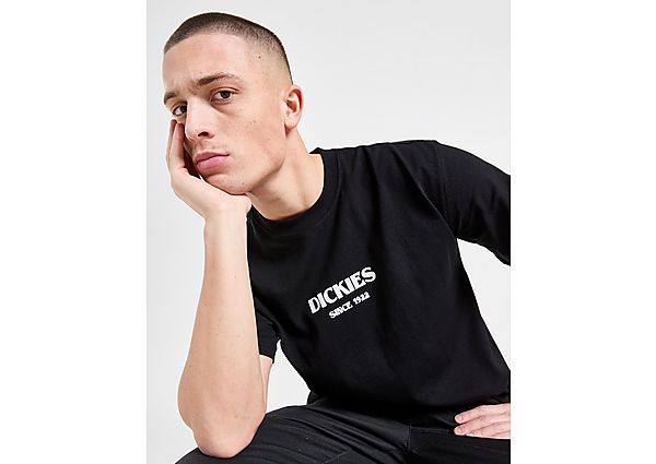 Dickies Max Meadows T-Shirt Black- Heren Black
