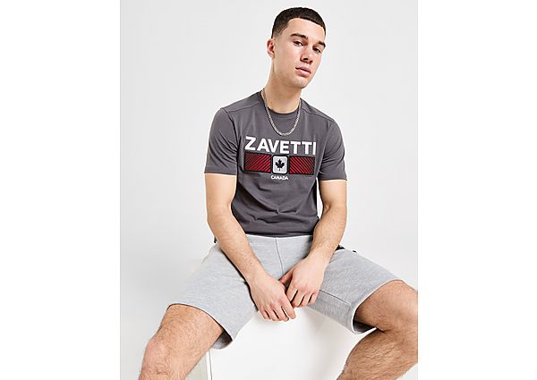 Zavetti Canada Ovello T-Shirt - Mens, Grey