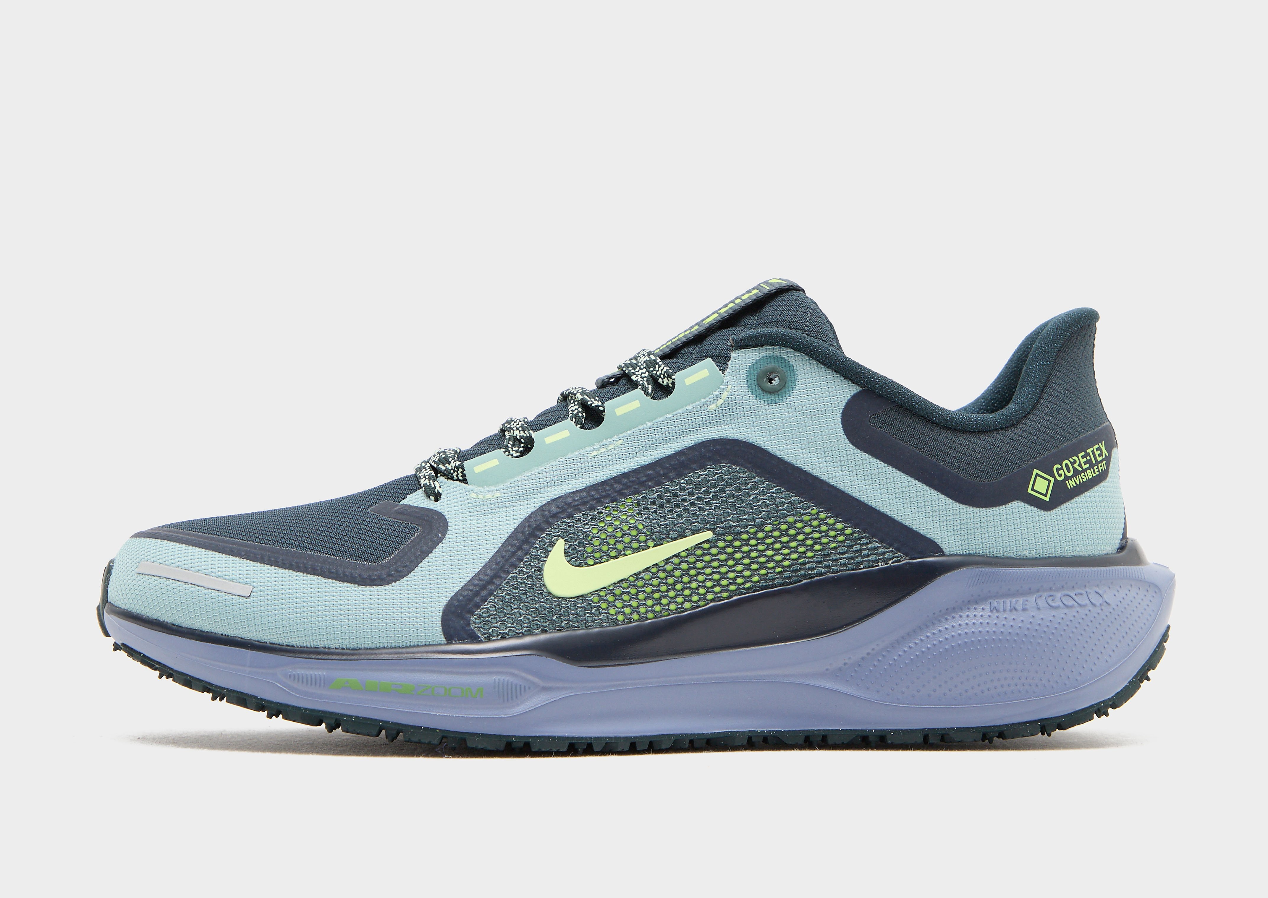 Nike Pegasus 41 GORE TEX Homme