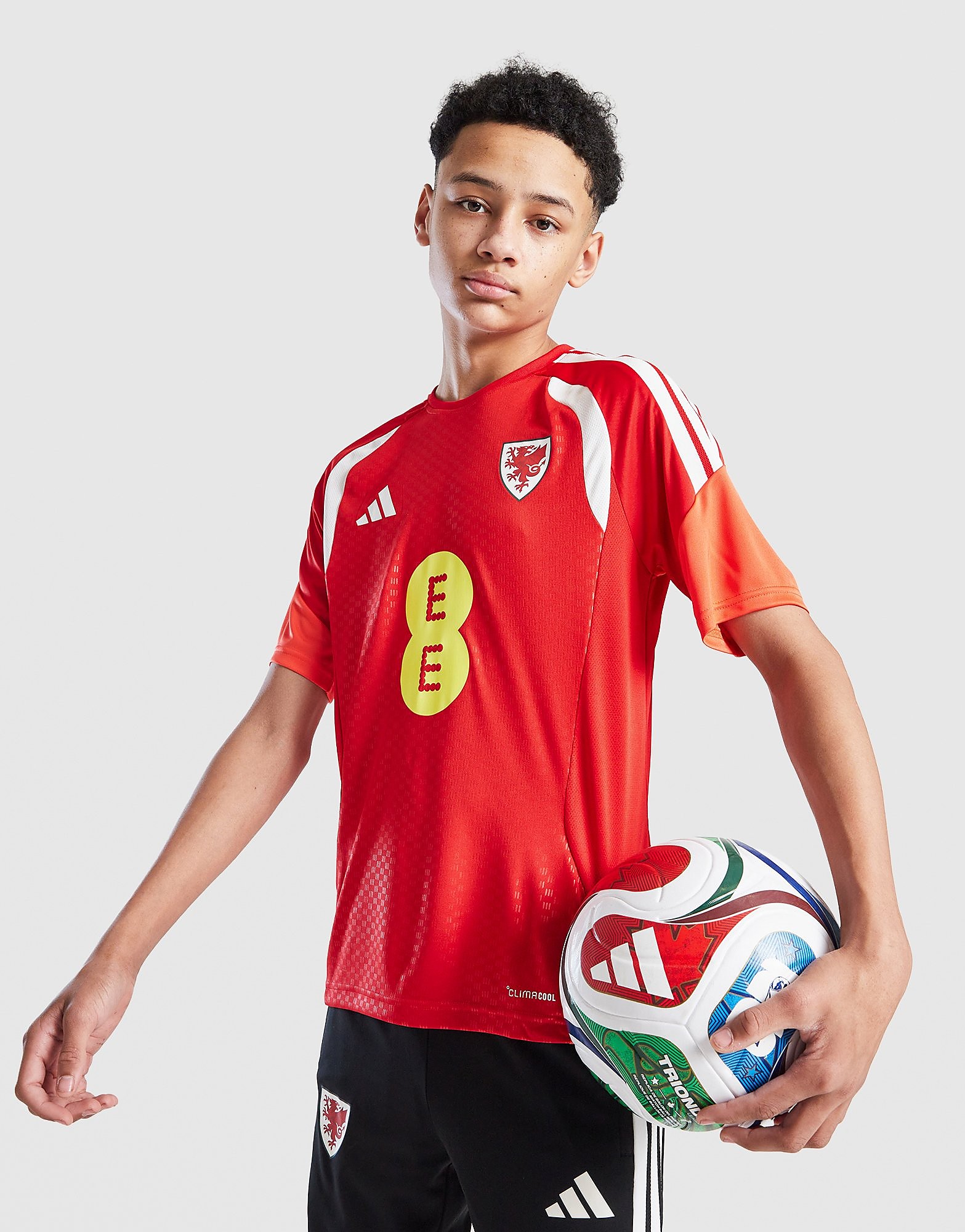 adidas Wales Tiro 26 Training Shirt Junior