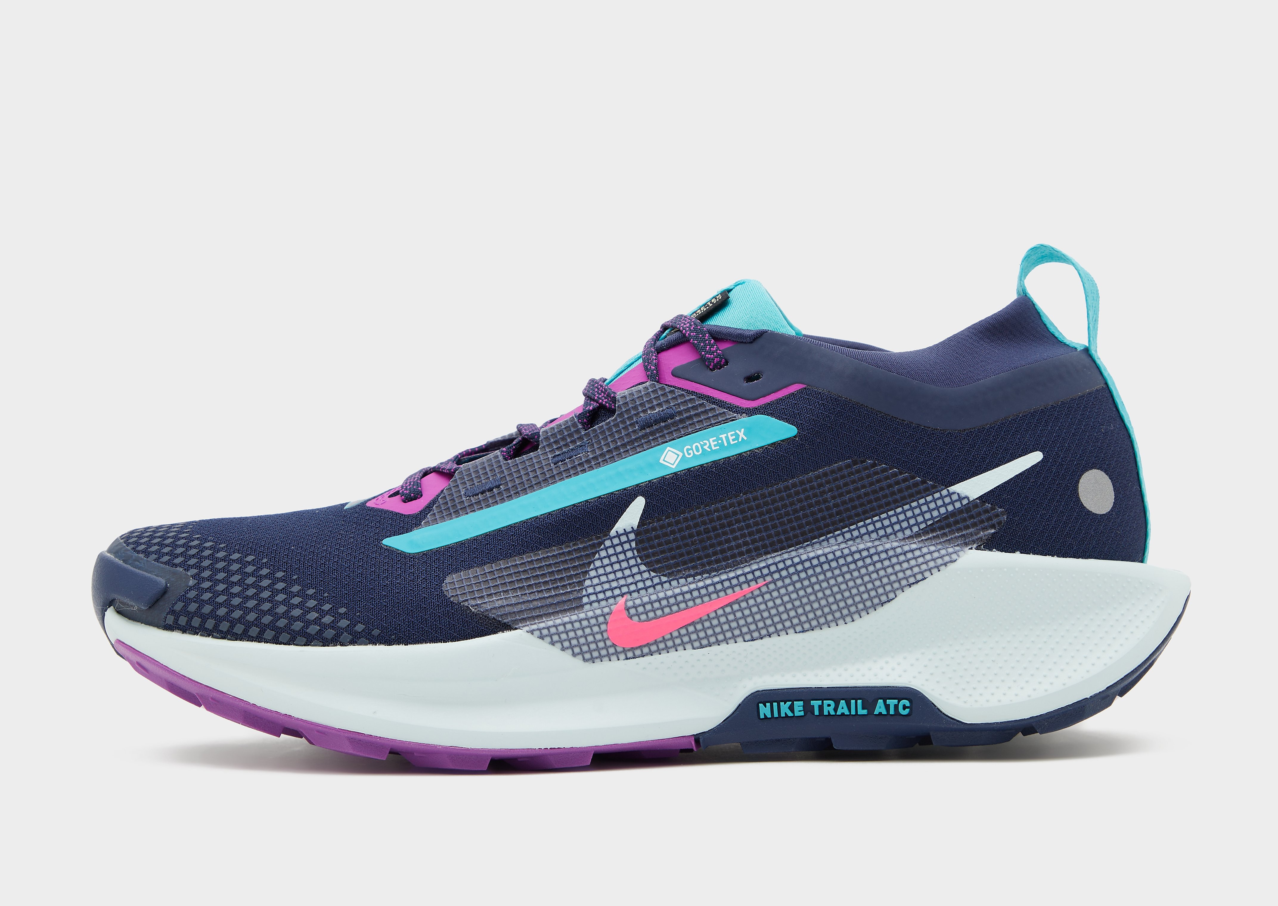 Nike Chaussures de trail Pegasus Trail 5 GORE TEX Homme