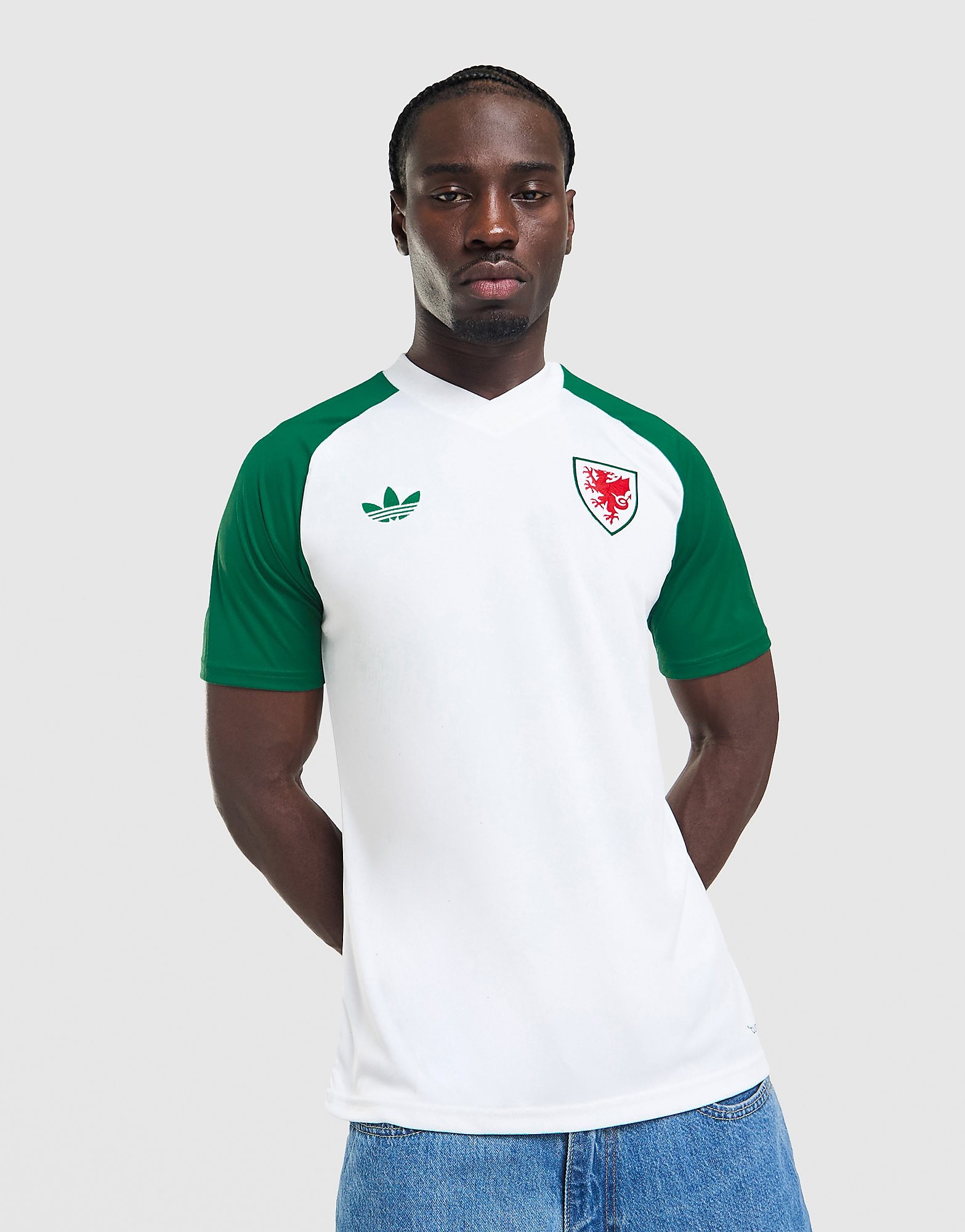Mens Maglia Riscaldamento Galles 2026 - Bianco, bianco bianco Uomo taglia L