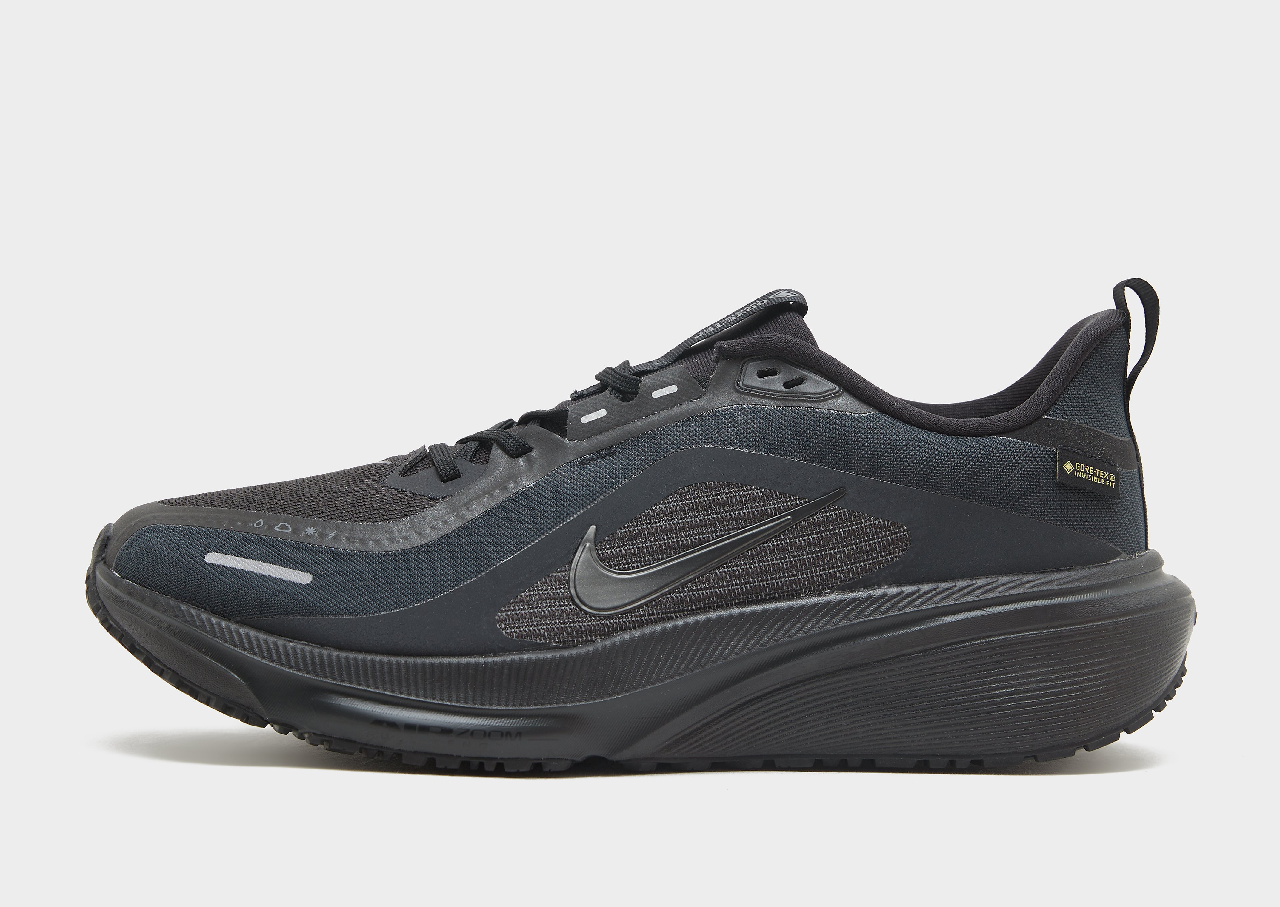 Nike Pegasus 42 GORE-TEX