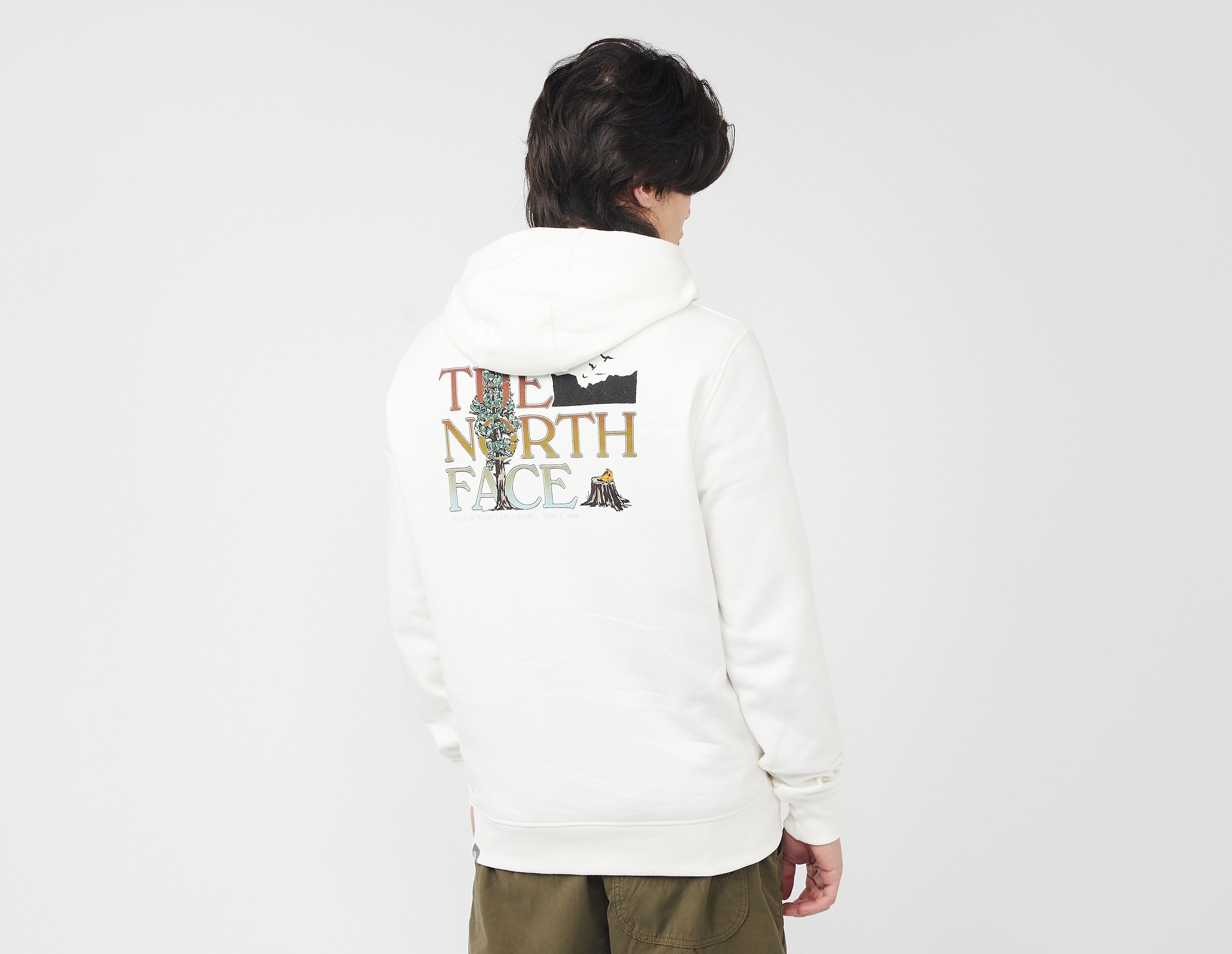 The North Face Seasonal Graphic Hoodie, White