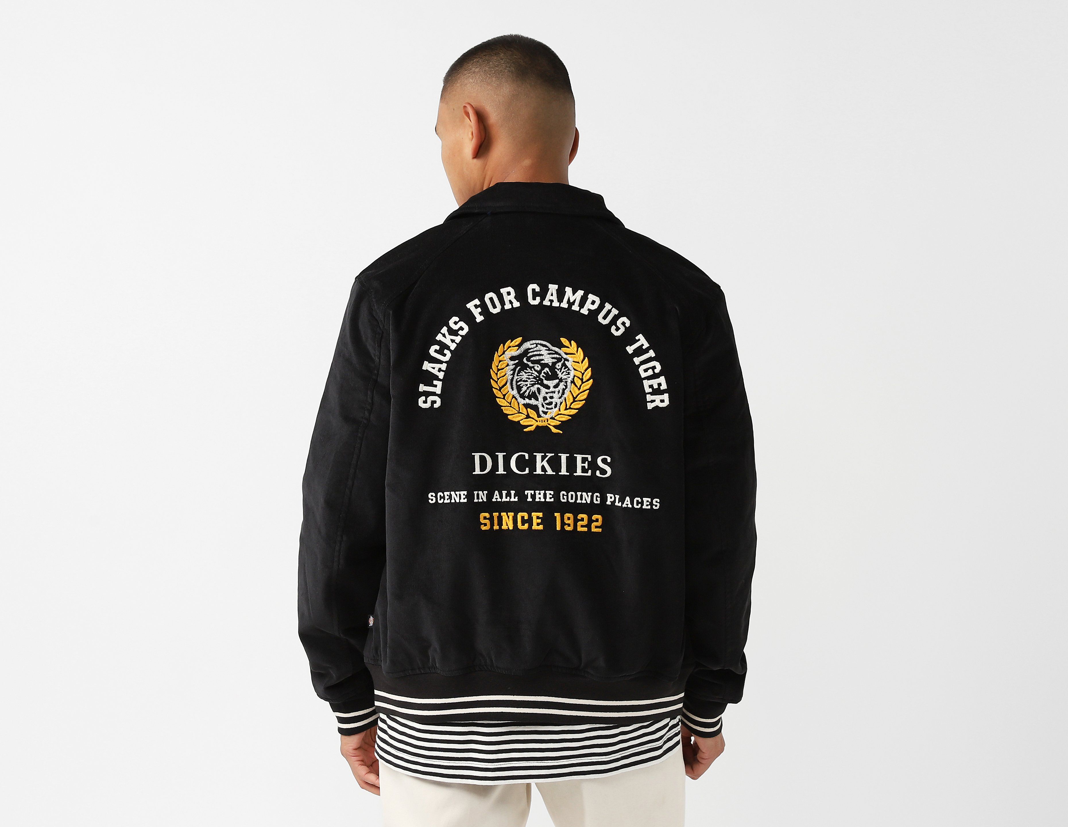 Dickies Westmoreland Jacket
