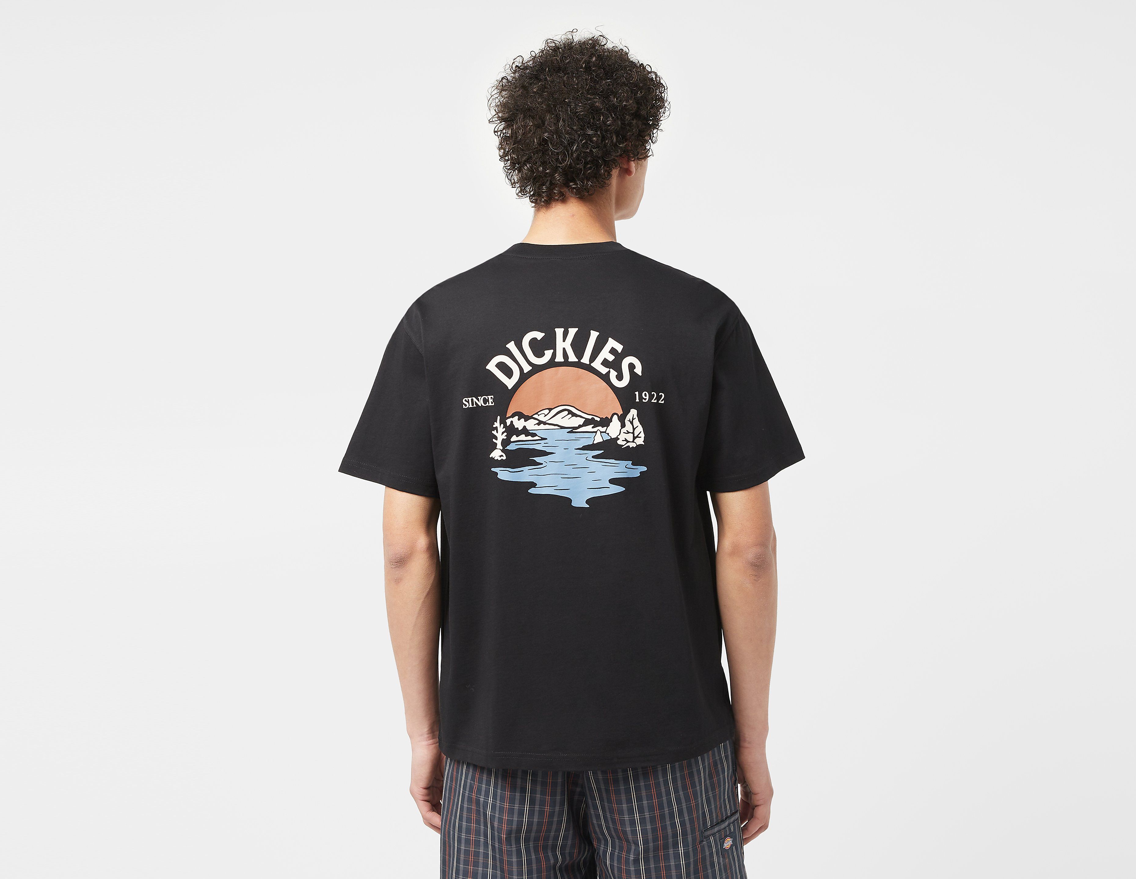 Dickies Beach T-Shirt, Black