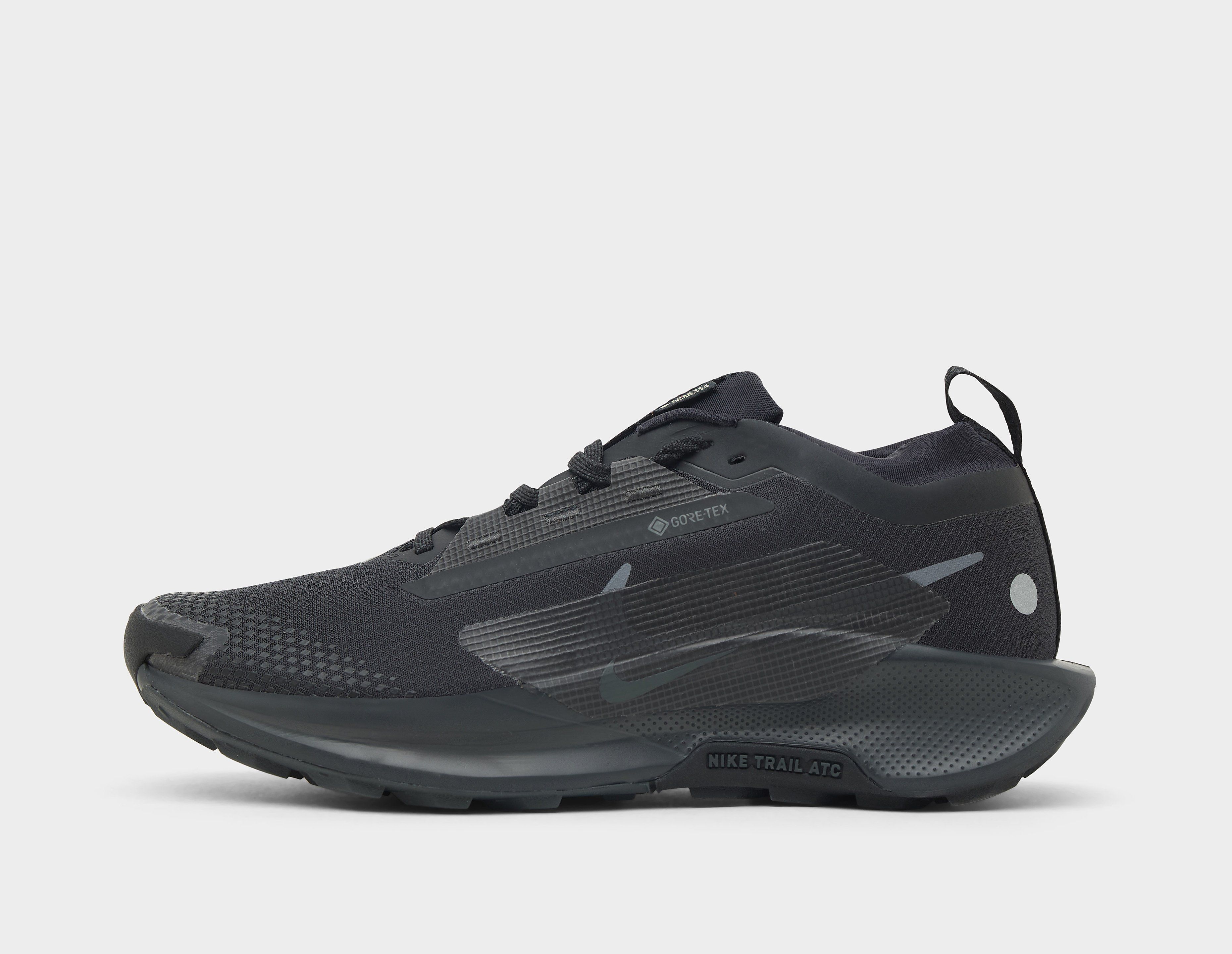Nike Pegasus Trail 5 GORE-TEX