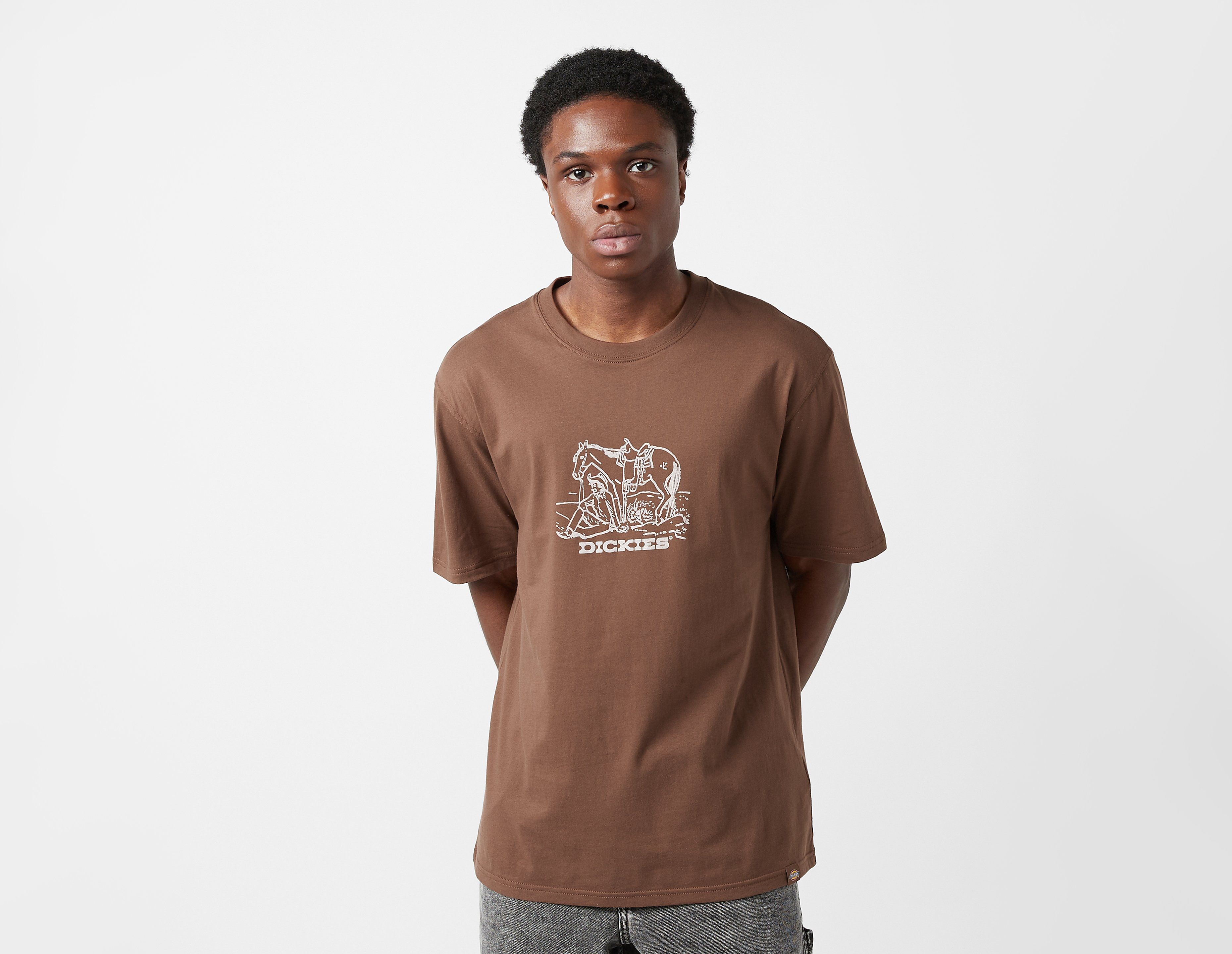 Dickies Companion T-Shirt, Brown