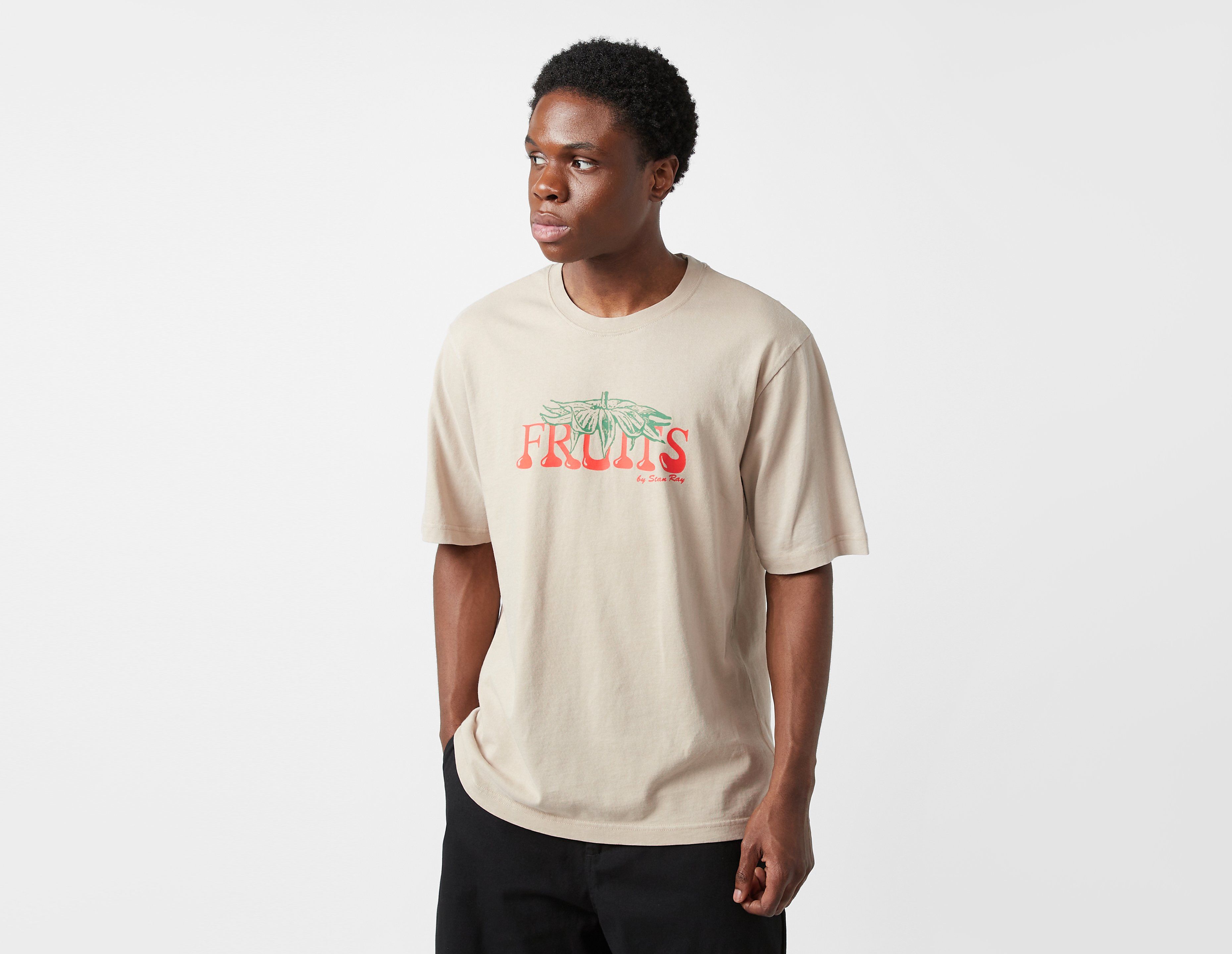Stan Ray Fruits T-Shirt, Brown