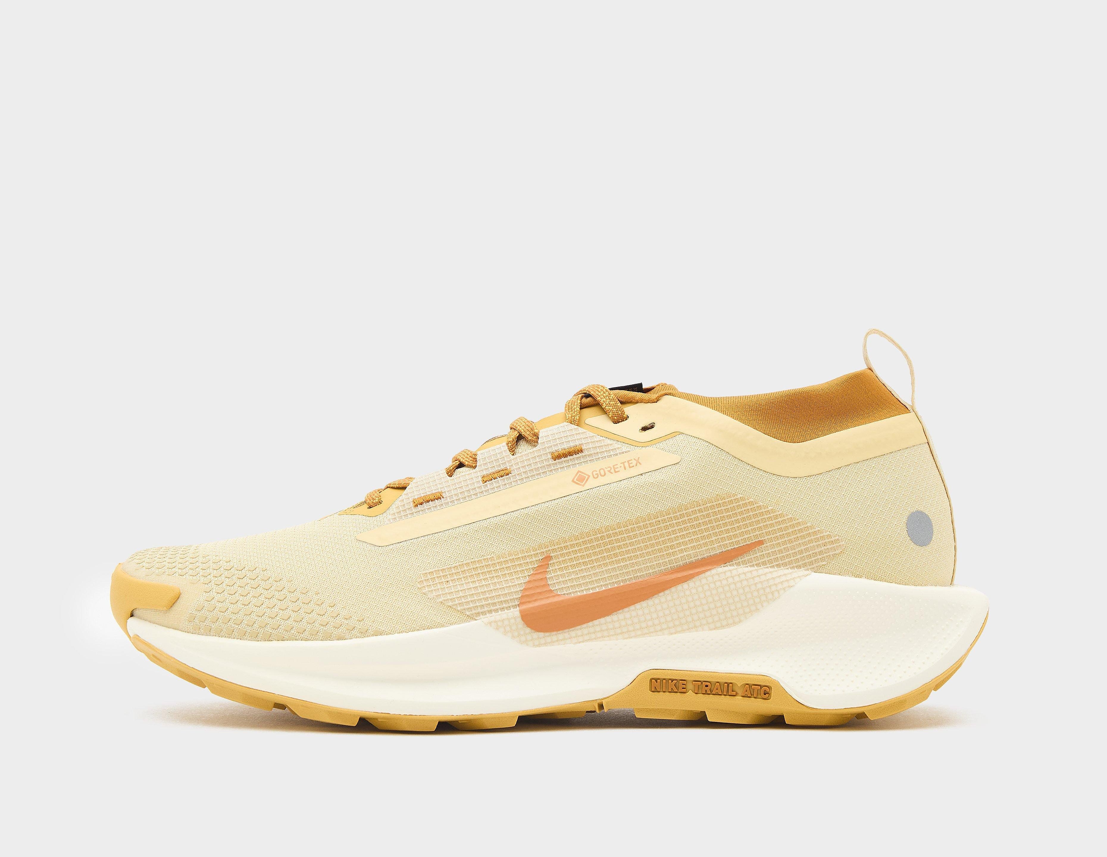 Nike Pegasus trail 5 GORE-TEX