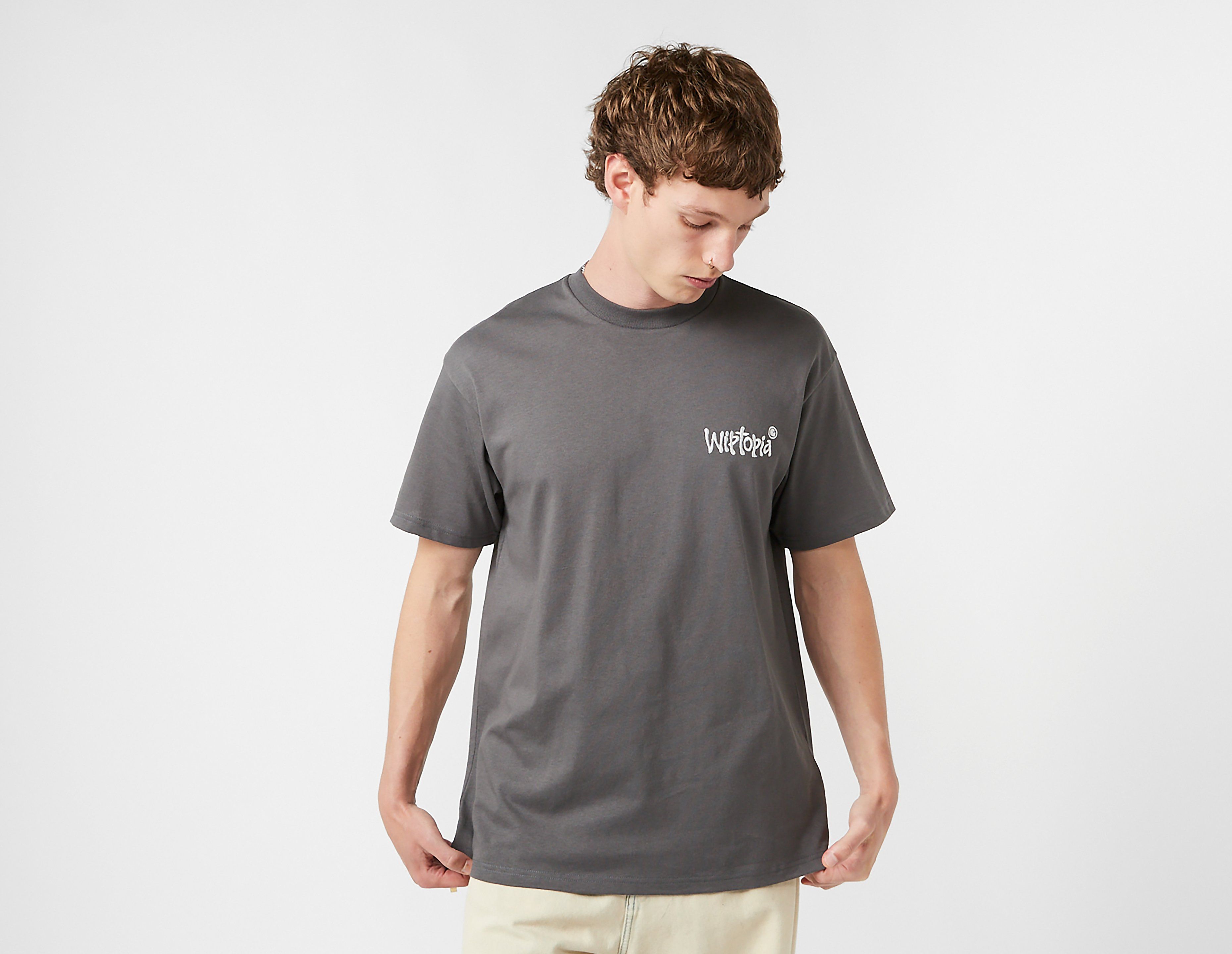 Carhartt WIP Wiptopia Script T-Shirt, grijs