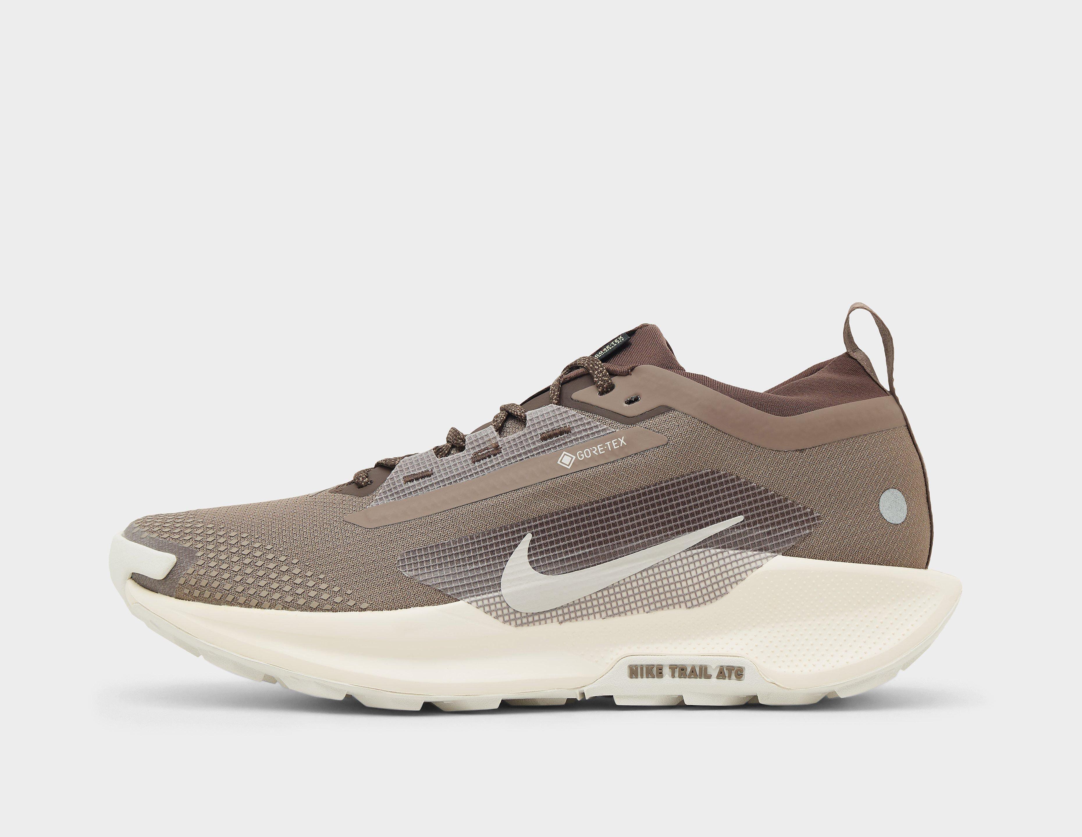 Nike Pegasus trail 5 GORE-TEX