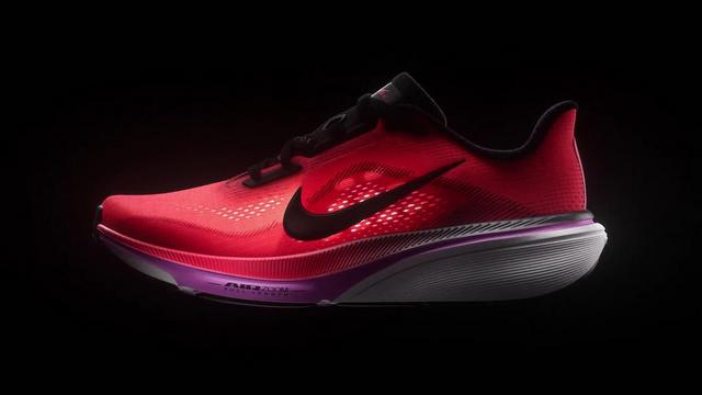 Nike Pegasus 42