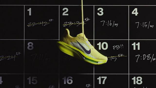 Nike Pegasus Plus 2