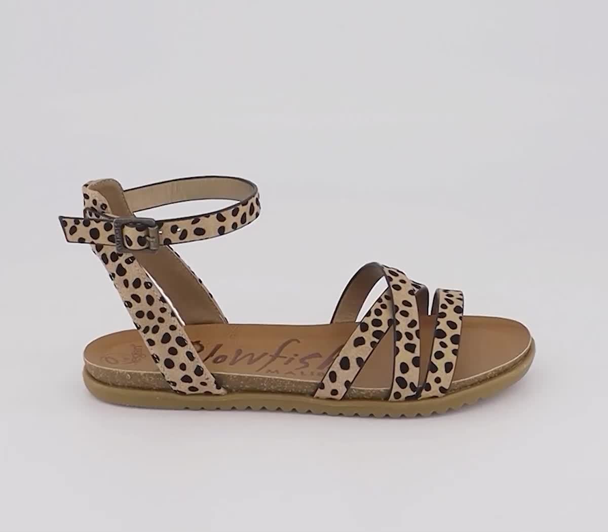 Amazon.com | Blowfish Malibu Women's Sadie-Sun Lace Up Trainer