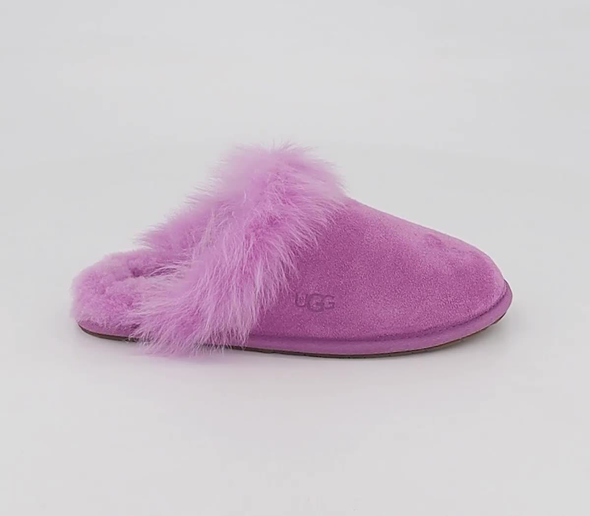 Ugg scuffette best sale slippers bodacious