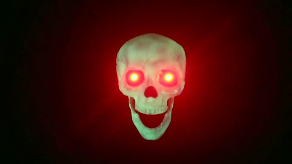 Light-Up Talking Glow-in-the-Dark Skull Decoration, 5.5in x 7.5in