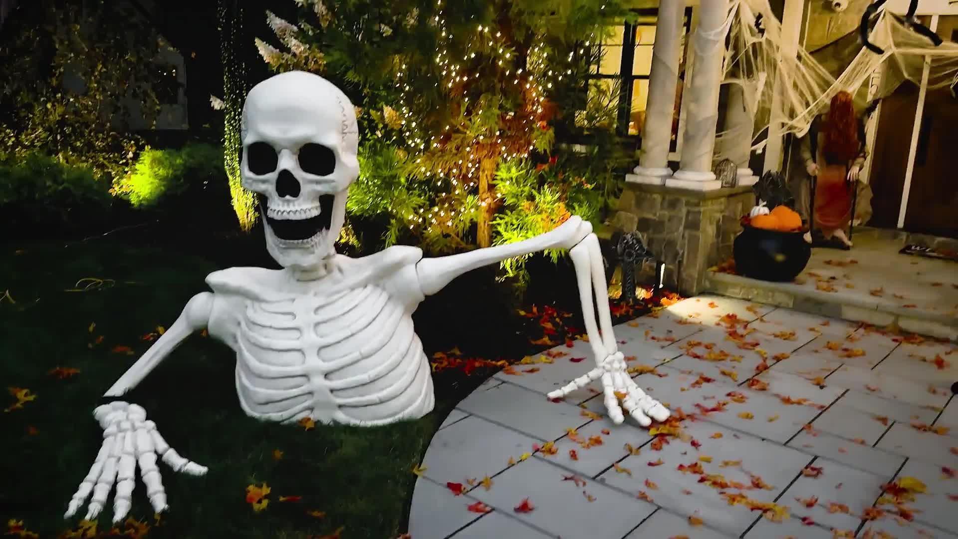 Life-Size Poseable Skeleton, 5ft - Halloween Decoration