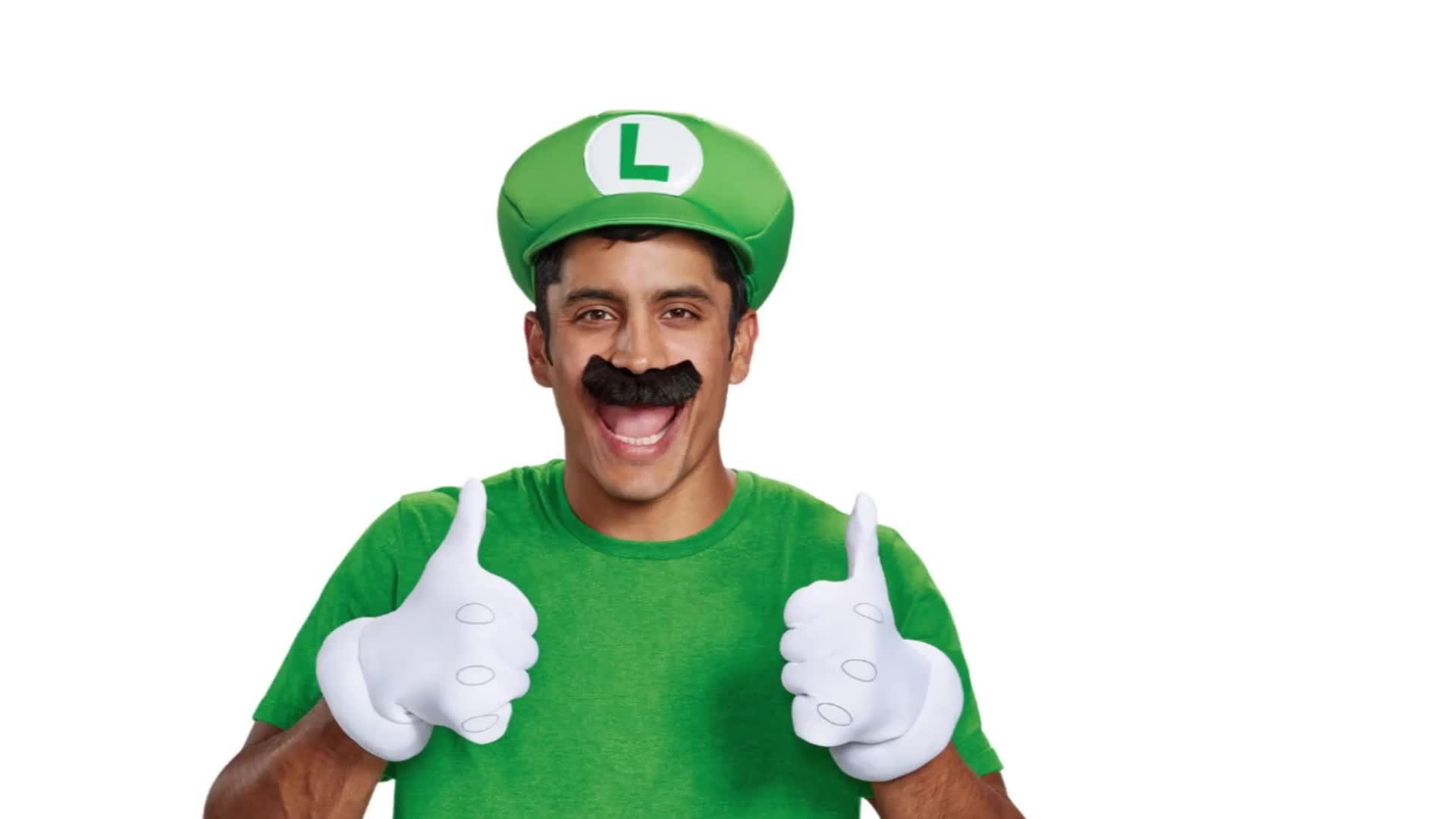 Adult Luigi Costume Accessory Kit - Nintendo Super Mario Bros.