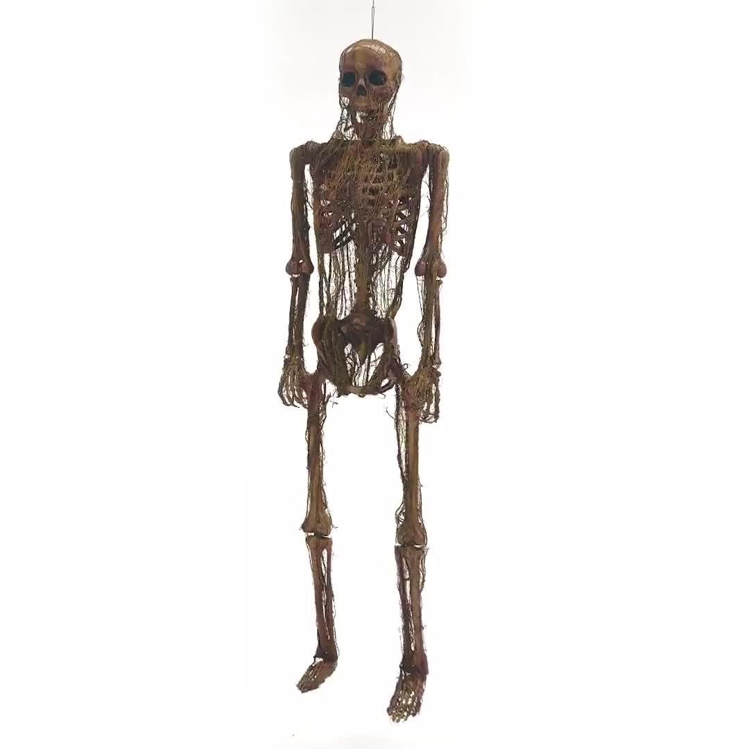 Poseable Rotting Skin Plastic & Fabric Hanging Skeleton, 5ft