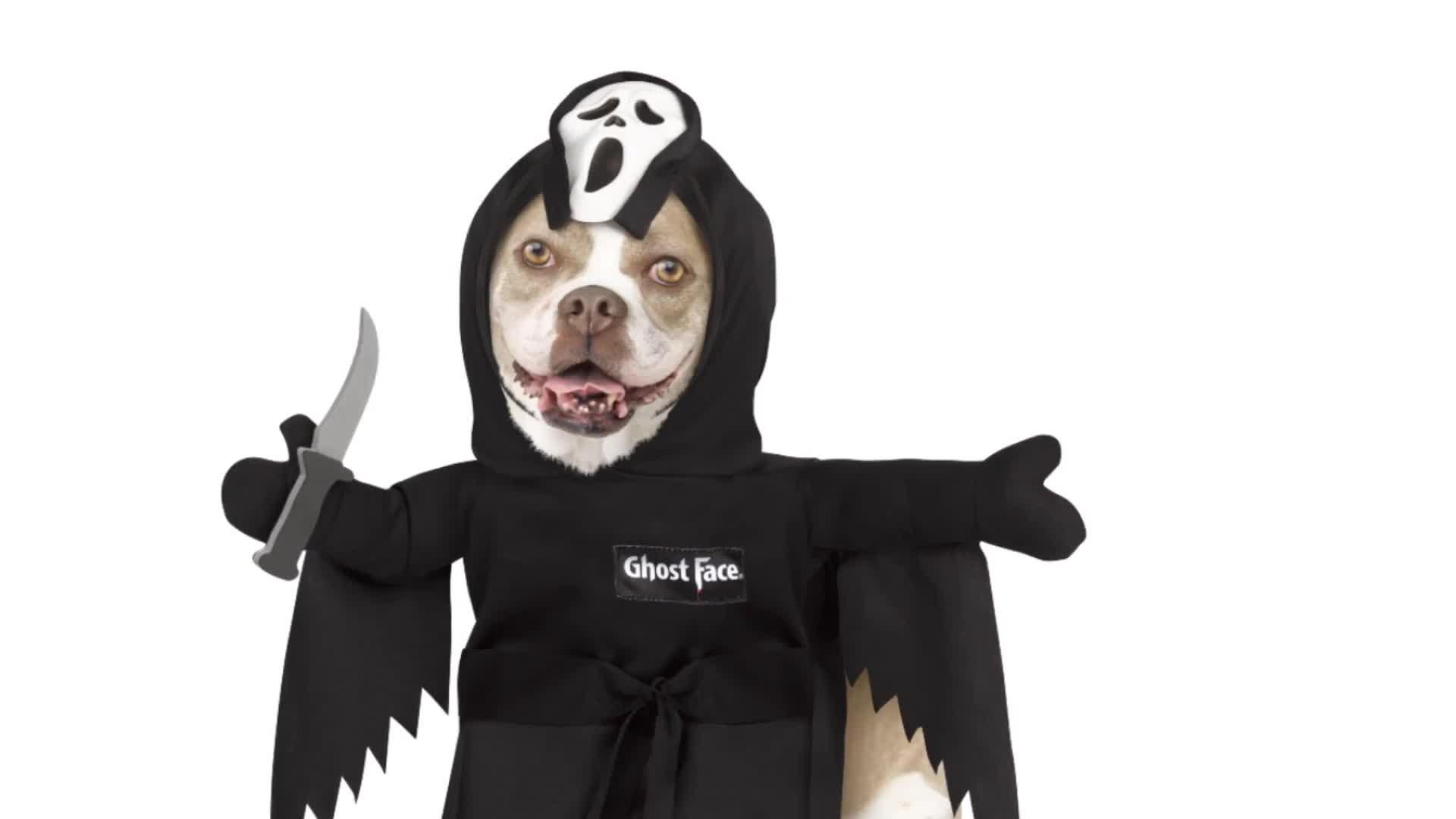 Walking Ghostface Dog Costume - Scream