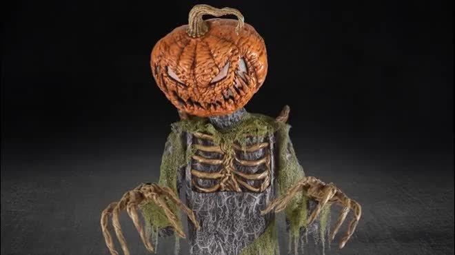 Halloween Decorations - Outdoor & Home Décor | Party City