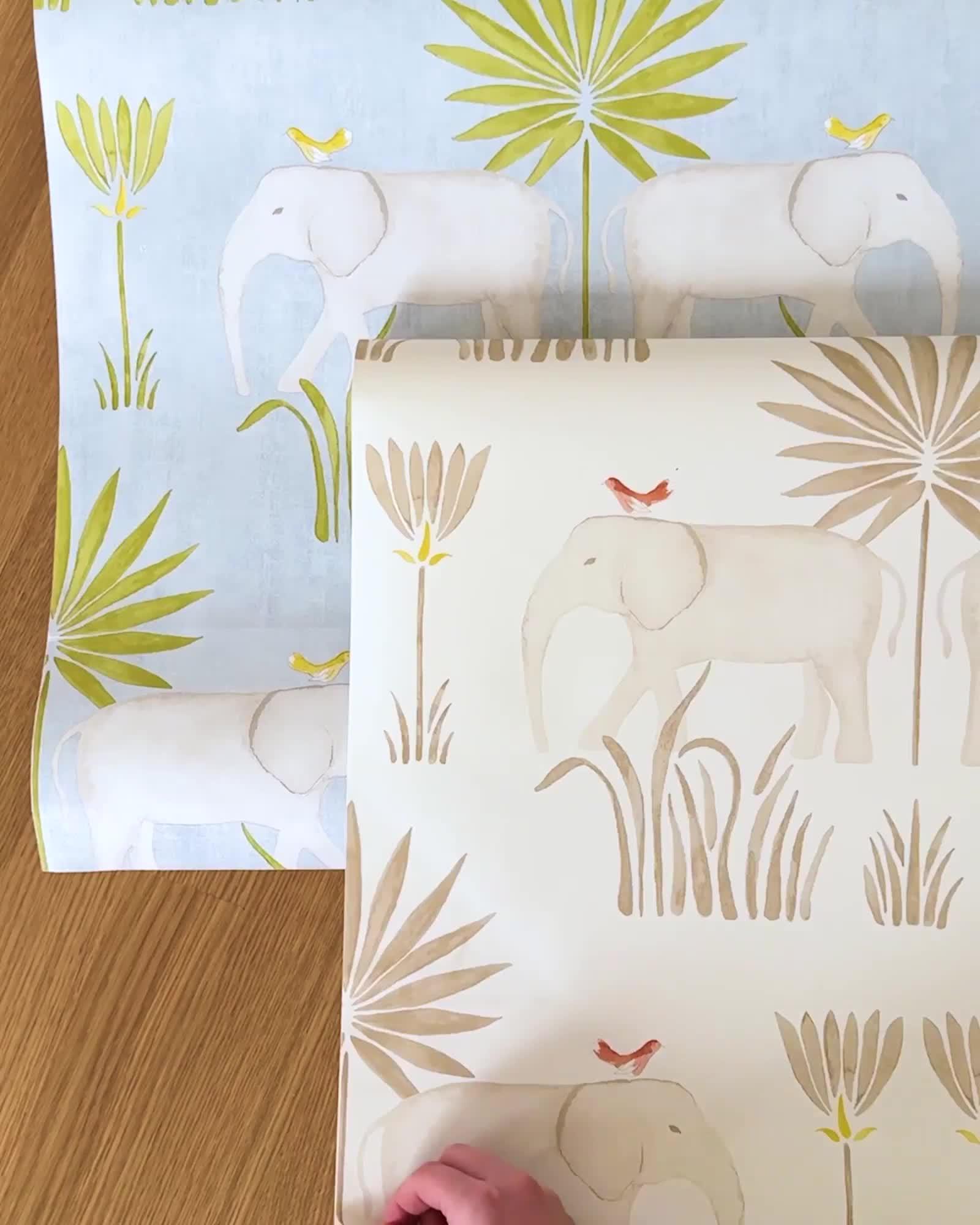 Kalahari Removable Wallpaper Demo